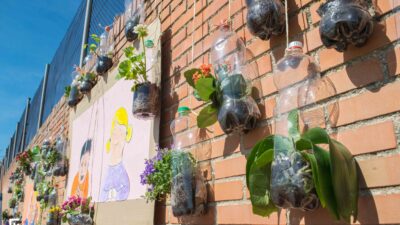 ideas ecologicas para trabajos secundarios